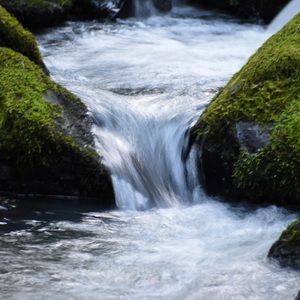 Meet your Posher, Alma